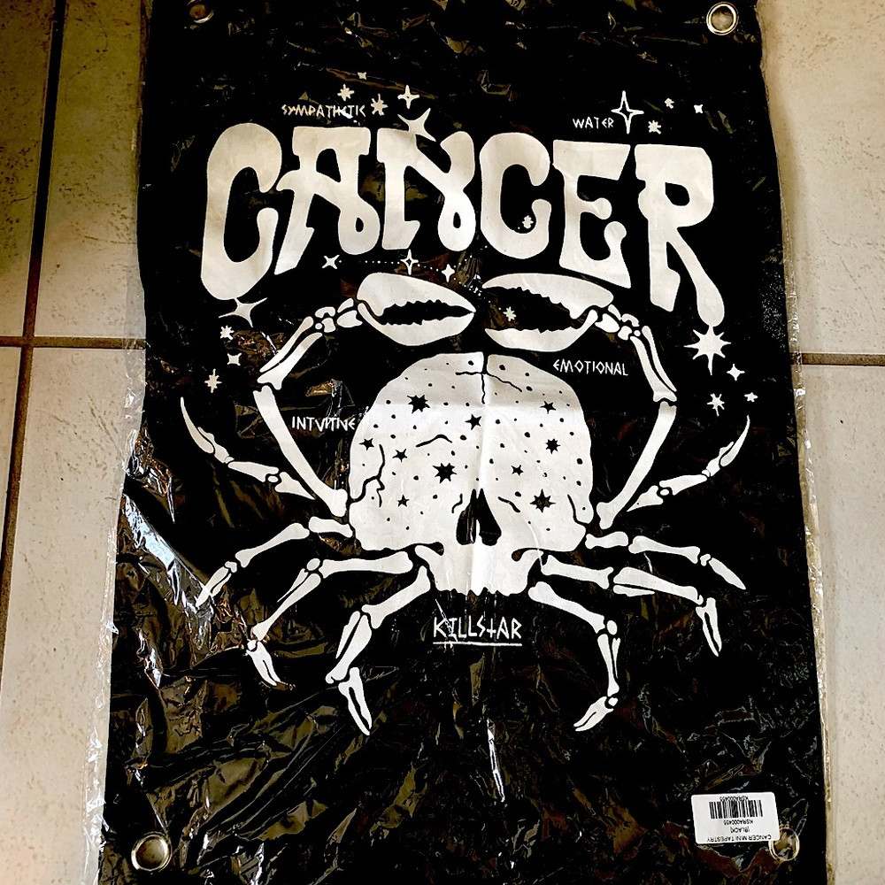 KILLSTAR CANCER ♋️ ZODIAC TAPESTRY (mini)
